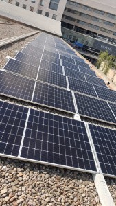 Apostem per les energies renovables