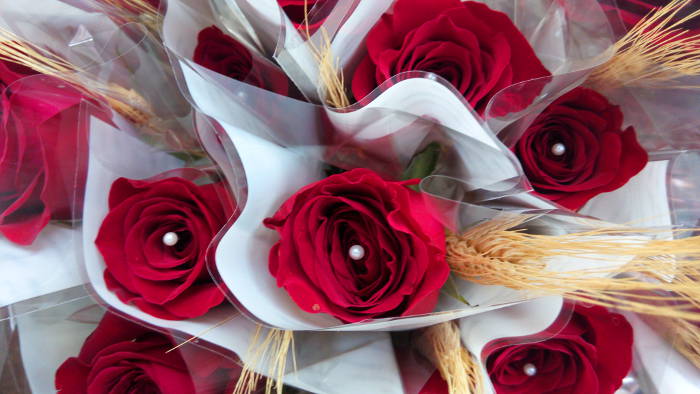 Sant Jordi