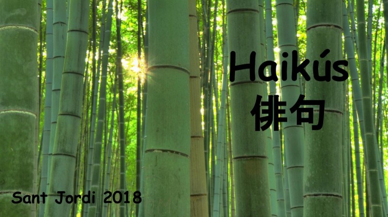 Haikús - Sant Jordi 2018