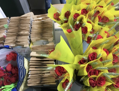 Portem Sant Jordi a la gent gran del barri