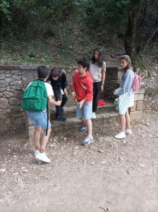 Final catalana del concurs «Fem Matemàtiques»